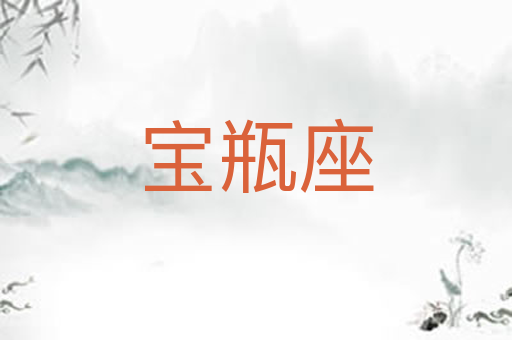 宝瓶座