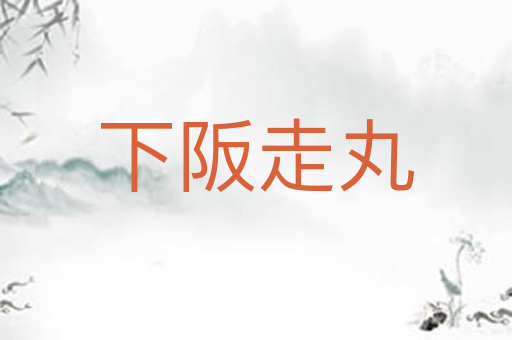 下阪走丸