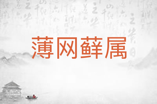 薄网藓属