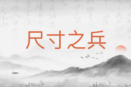 尺寸之兵