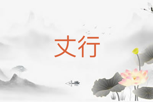 丈行