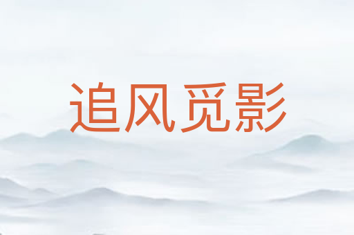 追风觅影