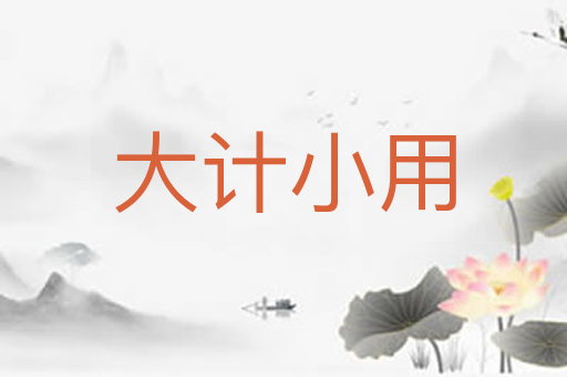 大计小用