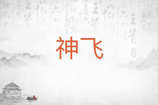 神飞