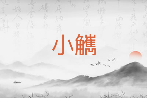 小觽