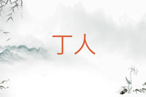 丁人