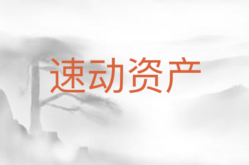 速动资产