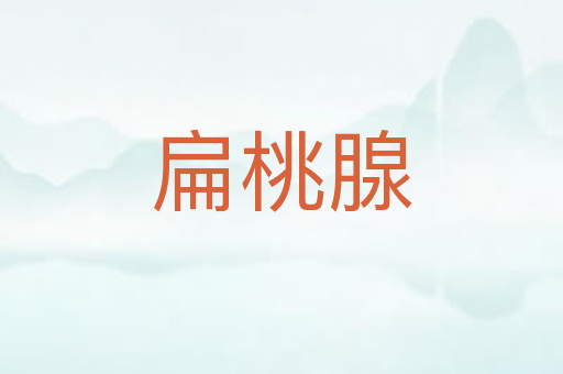 扁桃腺