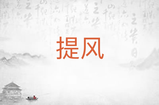 提风