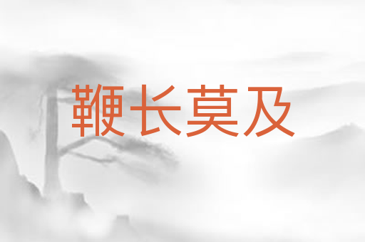 鞭长莫及