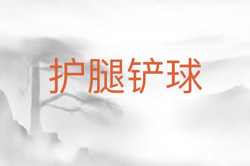 护腿铲球