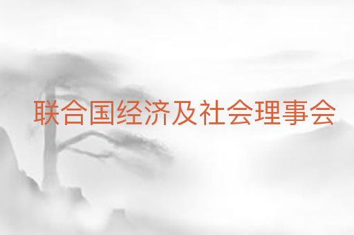联合国经济及社会理事会