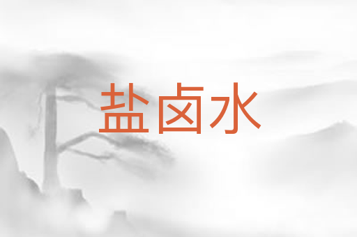 盐卤水