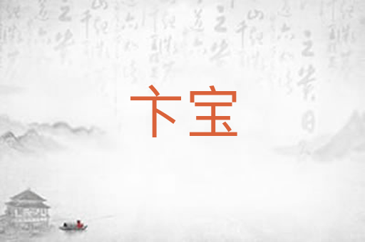 卞宝