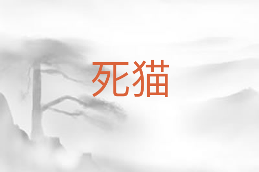 死猫