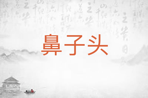 鼻子头