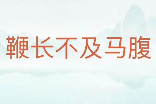 鞭长不及马腹