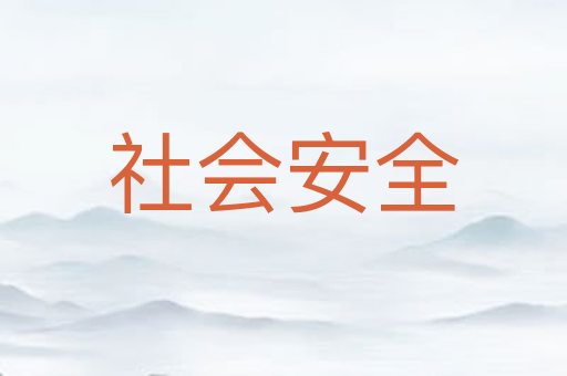 社会安全