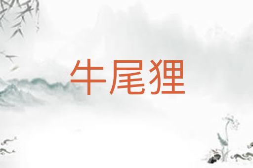 牛尾狸