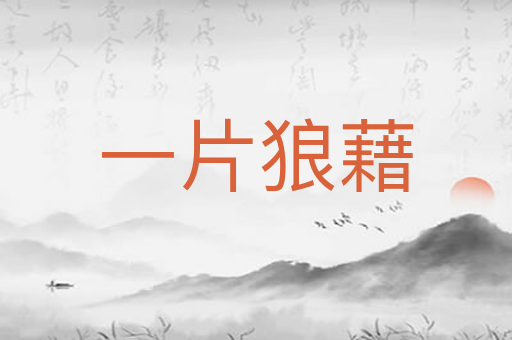 一片狼藉