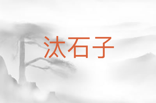 汰石子