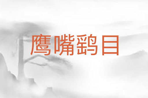 鹰嘴鹞目