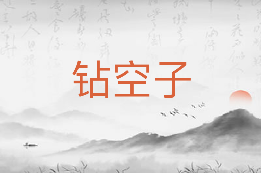 钻空子