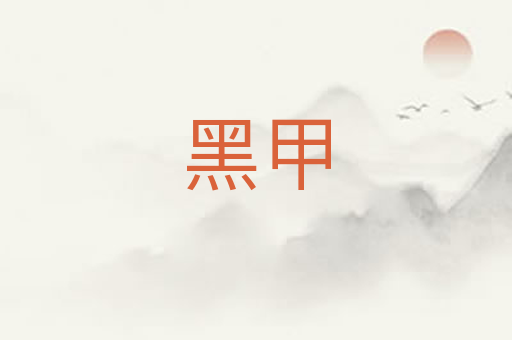 黑甲