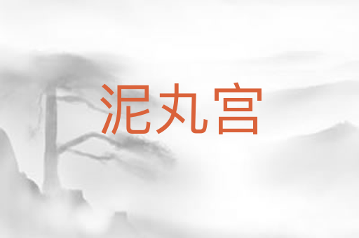 泥丸宫