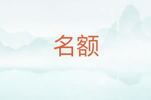 名额
