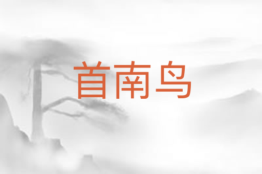 首南鸟