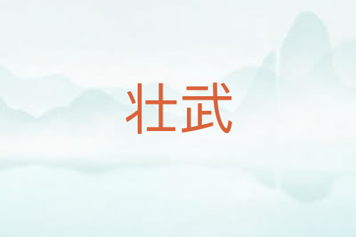 壮武