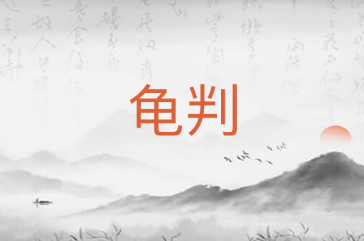 龟判