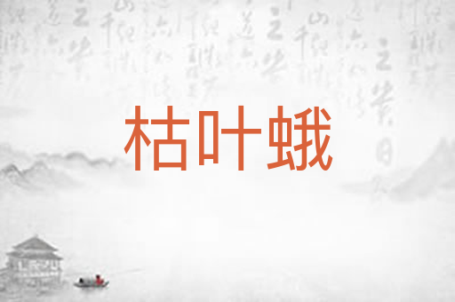 枯叶蛾