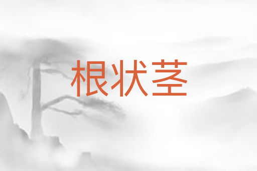 根状茎