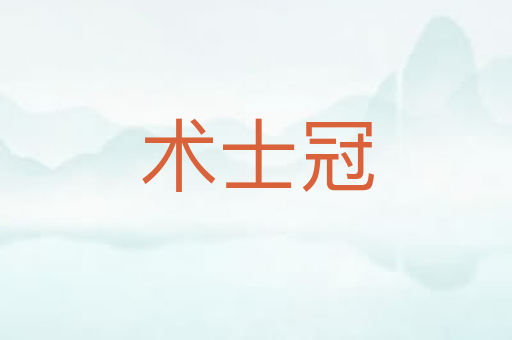术士冠