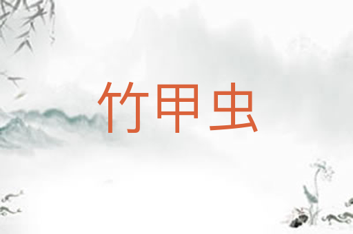 竹甲虫