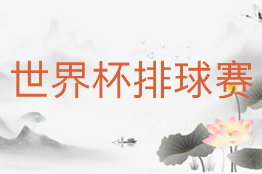 世界杯排球赛