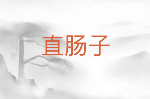 直肠子