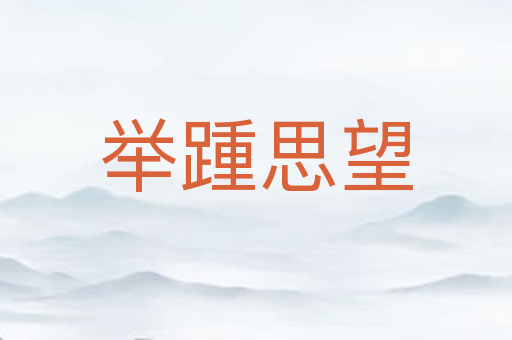 举踵思望