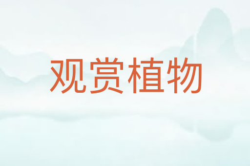 观赏植物