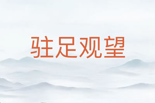 驻足观望