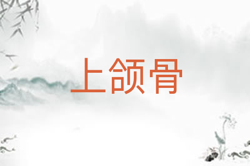 上颌骨