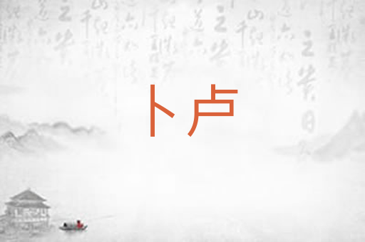 卜卢