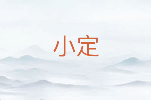 小定
