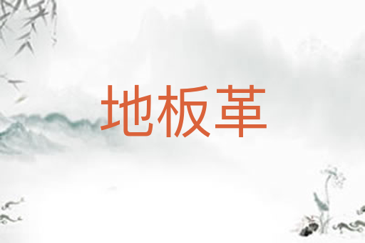 地板革