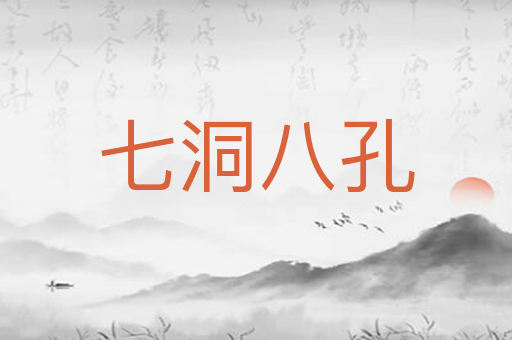 七洞八孔