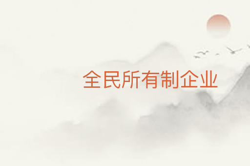 全民所有制企业
