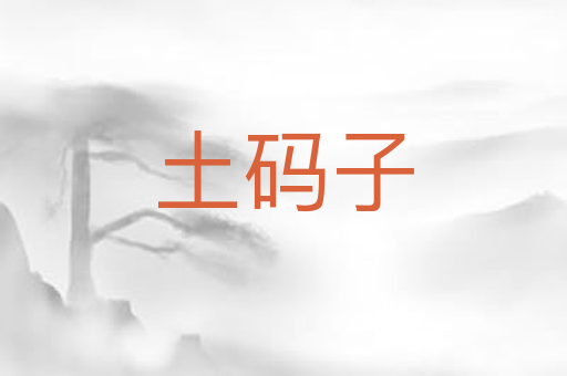 土码子