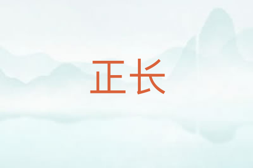正长